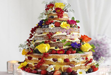 Wedding Yachts Cabo San Lucas, Los Cabos Boat Weddings