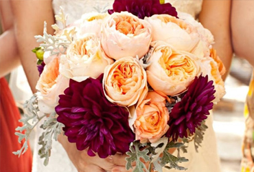 Wedding Yachts Cabo San Lucas, Los Cabos Boat Weddings