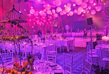 Wedding Yachts Cabo San Lucas, Los Cabos Boat Weddings